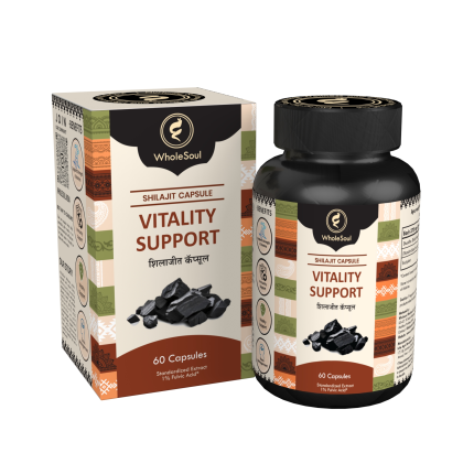 WholeSoul Shilajit Capsules – Pure Himalayan Energy & Vitality Booster | 100% Ayurvedic Strength & Stamina Formula